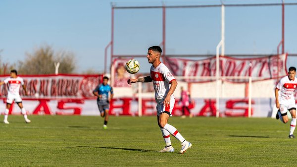 Allergy-Safe Indoor Plants: Transform Your Home Garden into a Breath-Easy Sanctuary